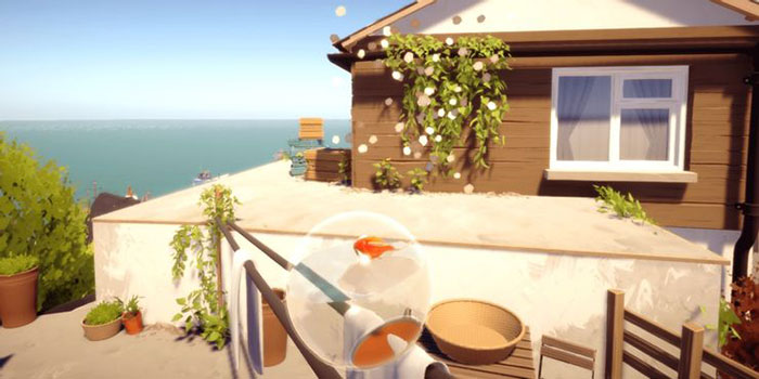 Luôn đi đúng hướng là điều quan trọng để đảm bảo an toàn cho các chú cá 