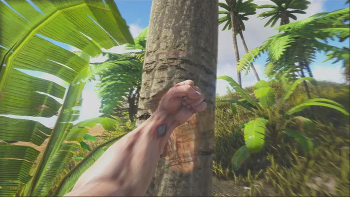 Thu thập tài nguyên là điều quan trọng cần làm khi bắt đầu trò chơi