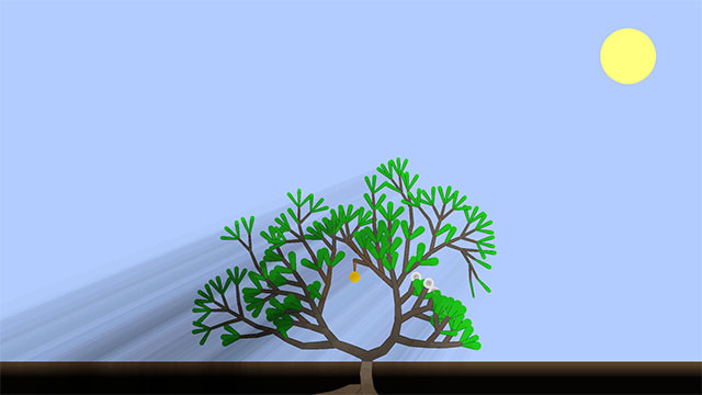 Game Kasi mô phỏng vòng đời của  1 cái cây