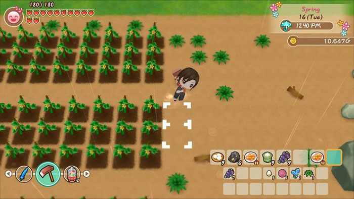 Không nên canh tác quá nhiều ở giai đoạn đầu vì nó sẽ tiêu tốn rất nhiều thể lực