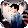 🖼️