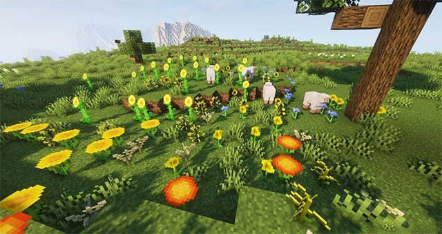 Ngoài các loài hoa mới, bạn còn có thể bắt gặp nhiều loại hoa quen thuộc trong đời thực