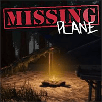 Missing Plane: Survival