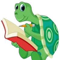 Turtle Diary