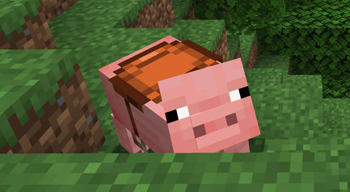 Người chơi có thể cưỡi và điều khiển con lợn bằng cách dùng yên