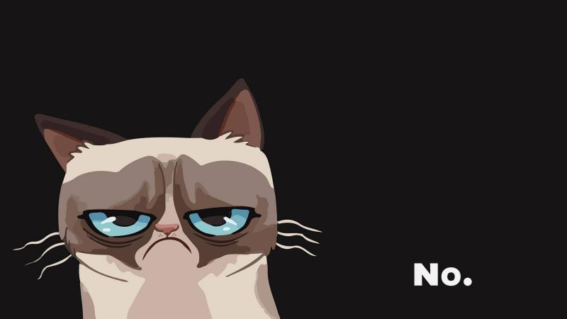 Meme Wallpapers 11*348390