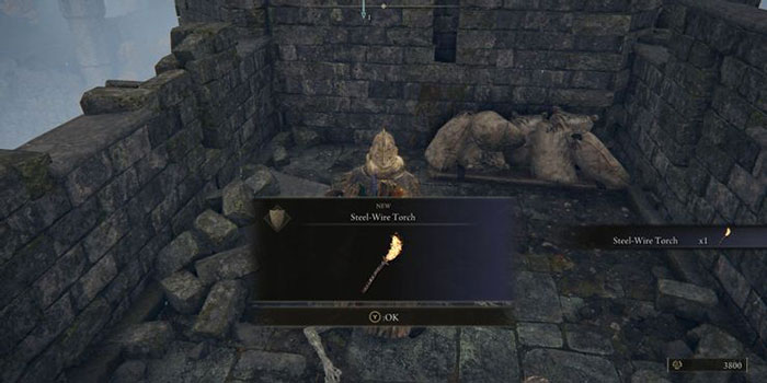 Torch (ngọn đuốc) sẽ giúp việc khám phá các hang động, khu vực tối tăm dễ dàng hơn