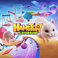 Hamster Playground