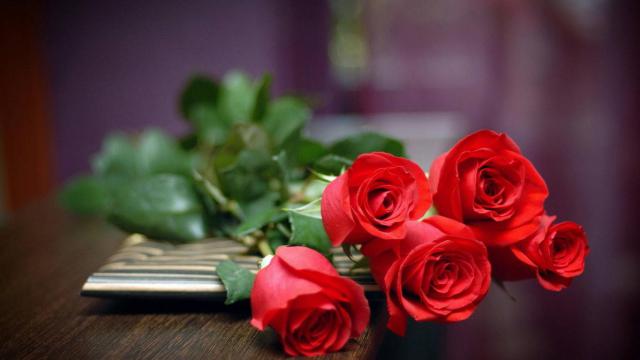 rose wallpaper 1*349226