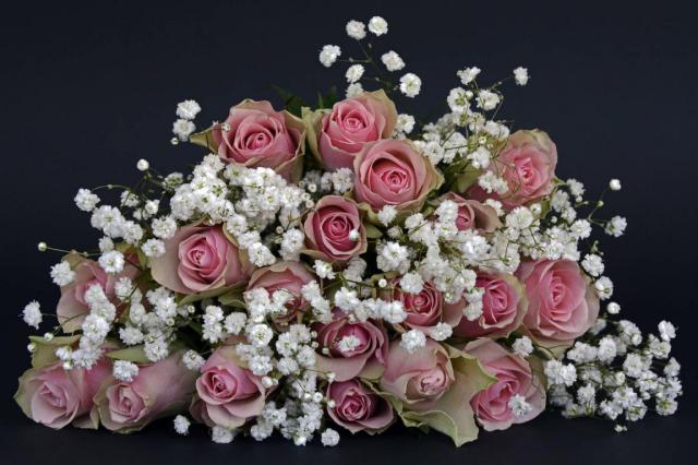 rose wallpaper 10*349222