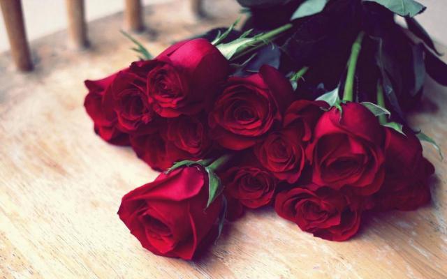 rose wallpaper 3*349229