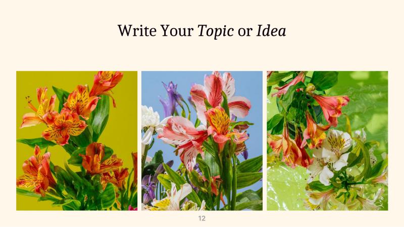 Amazing Botanical Slides slide 12