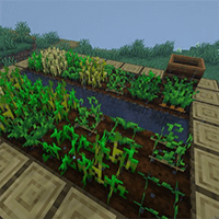 Crops Love Rain Mod