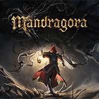 Mandragora