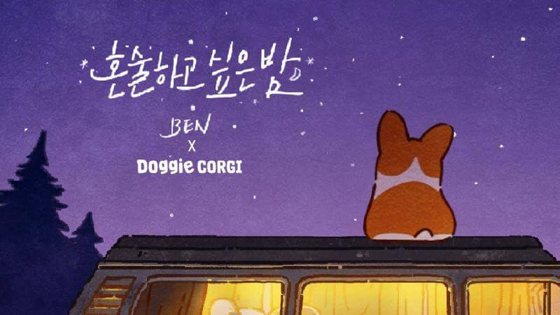 Doggie-Corgi-Wallpapers-15