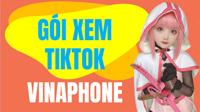 Những gói cước Data TikTok Vinaphone