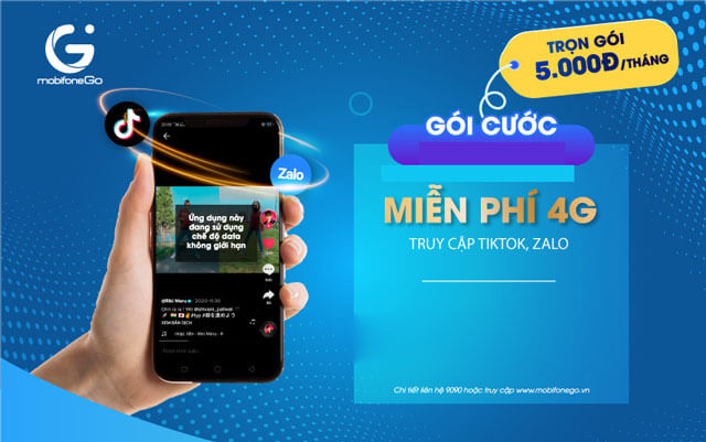 Data TikTok MobiFhone