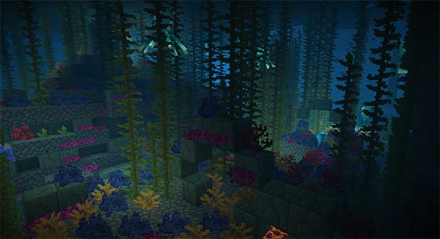 Chuẩn bị những vật dụng cần thiết cho chuyến đi và du lịch đại dương một lần nữa!