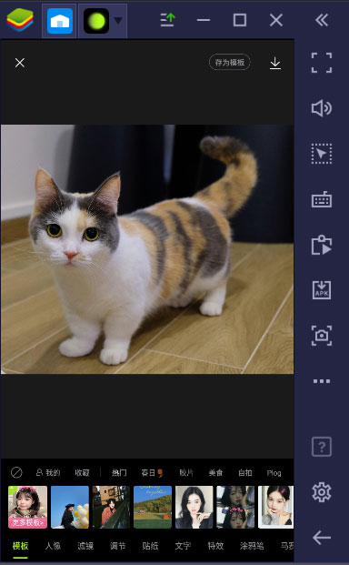 Biến bức ảnh của bạn trở nên tuyệt đẹp thôi nào