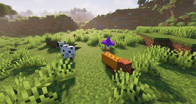 Dog Mod 1.16.5 sẽ giới thiệu vào Minecraft hàng chục biến thể mới của loài chó