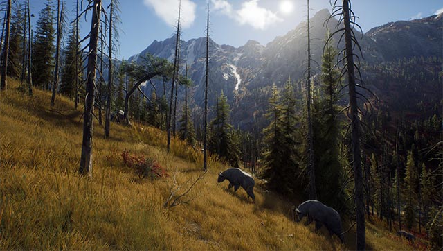 Game Way of the Hunter mô phỏng sinh động trải nghiệm đi săn trong khu rừng rộng lớn