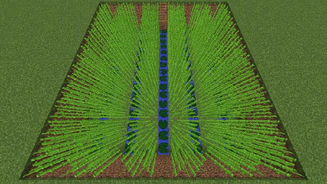 Tạo một trang trại mía lớn trong Minecraft