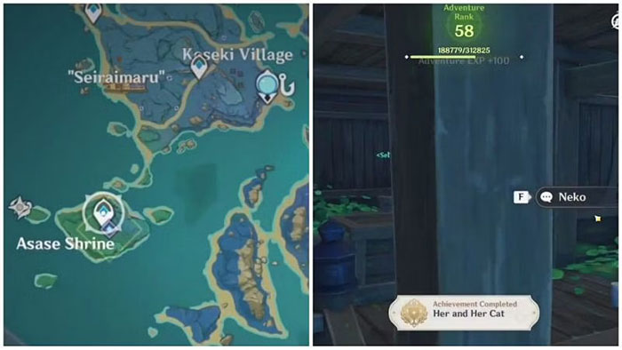 Mở khóa thành tích Her and her cat sau khi hoàn thành nhiệm vụ The Narukami Trail