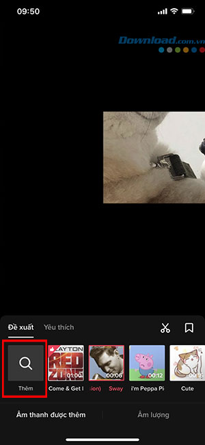 tiktok template 11*363197