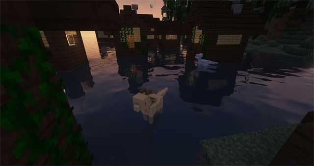 Những con rồng này khá thân thiện nếu bạn không có hành động thù địch với chúng