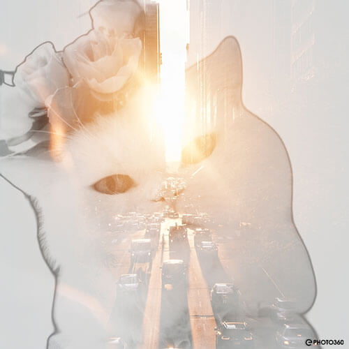 Hình ảnh hiệu ứng nghệ thuật Double Exposure khung cảnh thành phố