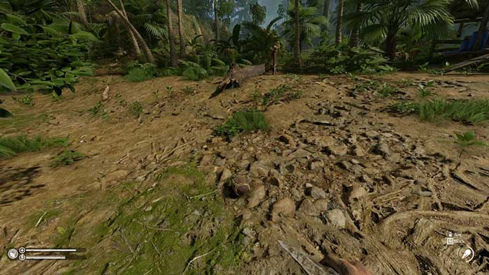 Coconut Bidon trong Green Hell