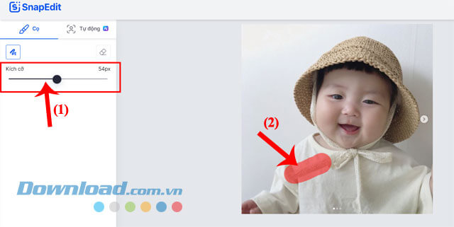 Tô màu vùng chọn chi tiết thừa của ảnh