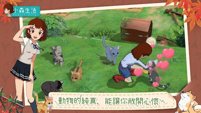 Làm bạn cùng với những con mèo, chó đáng yêu