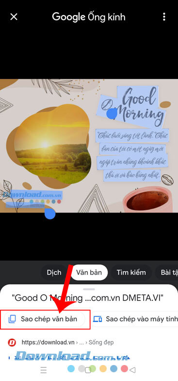 Ấn vào nút Sao chép văn bản