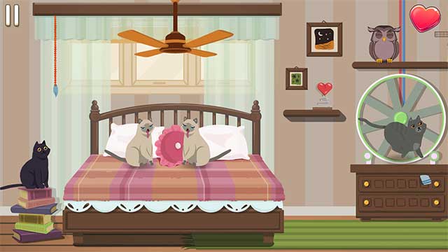 Giúp chú mèo Đen thoát khỏi bà ngoại để đến với tình yêu bị cấm đoán của mình