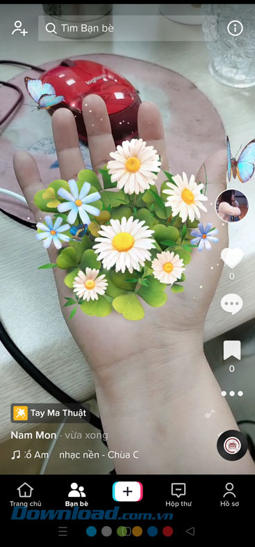 Video hiệu ứng nở hoa trên tay