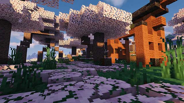 Khám phá những loài cây mới, làng mới và hai cấu trúc mới