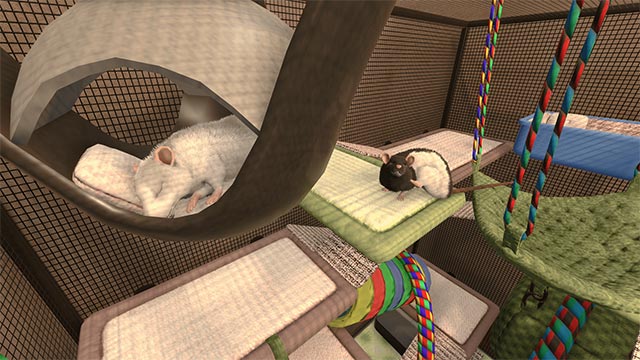 Khám phá những loài vật mới trong House Flipper game