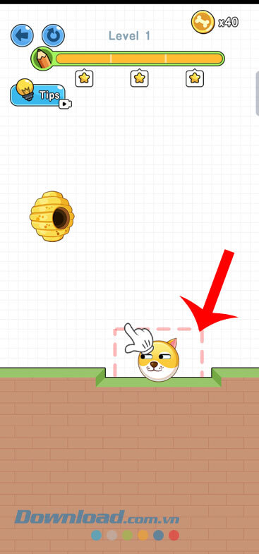 Vẽ đường bảo vệ chú chó