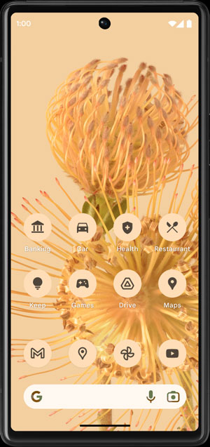 Các icon ứng dụng theo chủ đề