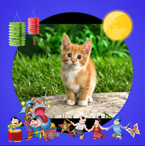 Khung ảnh avatar Trung Thu