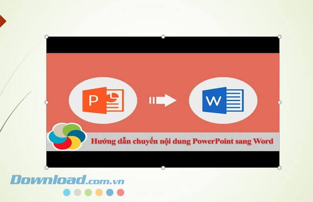 Điều chỉnh lại kích thước, vị trí của video
