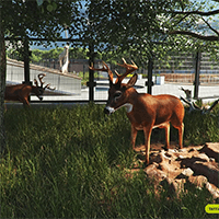 Zoo Simulator