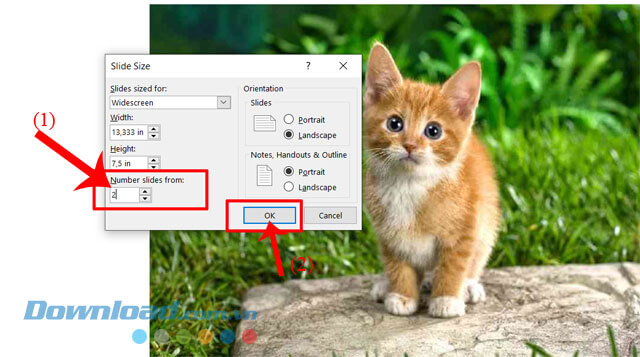 Nhập số trang bất kỳ vào mục Number Slides