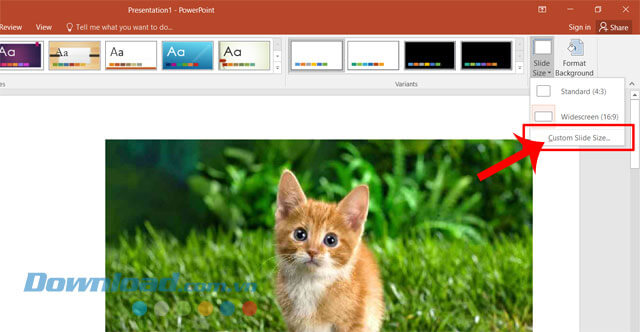 Nhấn vào mục Custom Slide Size