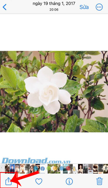 Chạm vào biểu tượng mũi tên