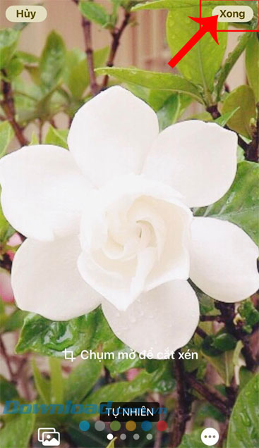 Chạm vào nút Xong