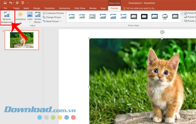 Nhấp chuột vào mục Remove Background