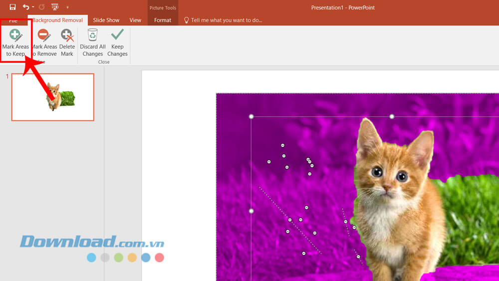 Click chuột vào mục Mark Areas to Keep > Tạo các vùng chọn muốn lấy trong ảnh