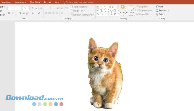 Hình ảnh đã được xóa nền trên PowerPoint